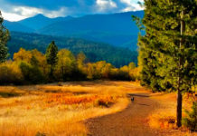 Cambio climático: Una gran amenaza global