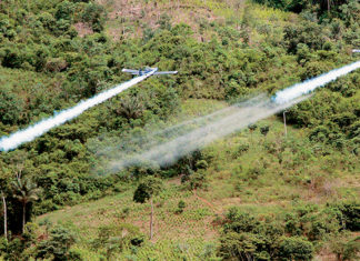 De regreso al glifosato en Colombia
