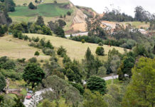 Academias complacidas con anuncio de construcción de puente peatonal en El Puente de Boyacá