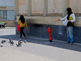 ¿Los jóvenes proyectan su vida laboral en Tunja?