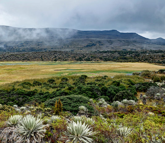 Páramo de Sumapaz, en imágenes