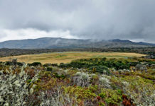 Crisis ecológica: principal desafío de nuestra era a nivel ambiental