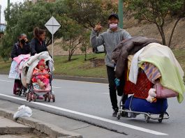 Pandemia, migración y reciclaje