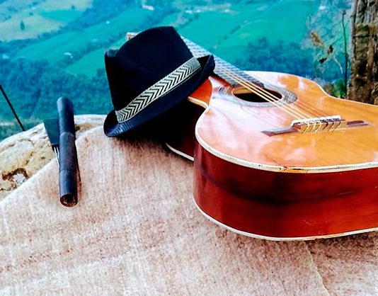 Proyecto de ley para promover y fomentar la música carranguera