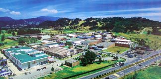 Economía boyacense: ¿signos de alerta o derrumbe total por efecto Covid 19?