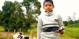 Reciclatón tecnológica, ‘Sé Buena Papa por el Ambiente y la Educación’