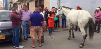 En Sogamoso archivan proyecto del coso público