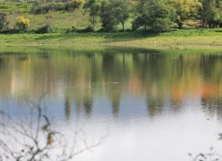 Tribunal Administrativo de Boyacá abre incidente de desacato en caso de reserva La Playa