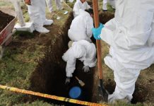6.402 Evidencias del Matarife