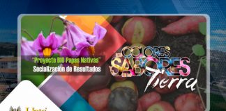 Socializarán resultados del ‘Proyecto BIO papas nativas’