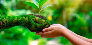 Convocatoria de Negocios Verdes 2021