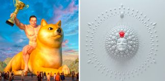 NFTs, la bursatilización de los memes, ¿cómo funciona?