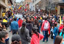 Día cívico, marchas y la consulta popular