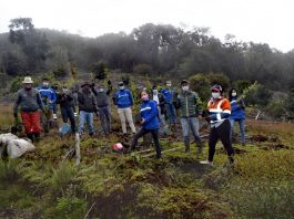 Plantan 1000 árboles en El Refugió
