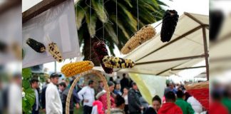Festival Internacional del Maíz en Ramiriquí