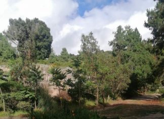 Empieza a germinar la semilla del Centro de Investigación del Jardín Botánico de Tunja