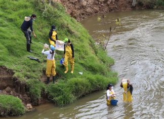 ‘Xiüa’, quince años investigando especies invasoras y sus efectos en los ecosistemas altoandinos