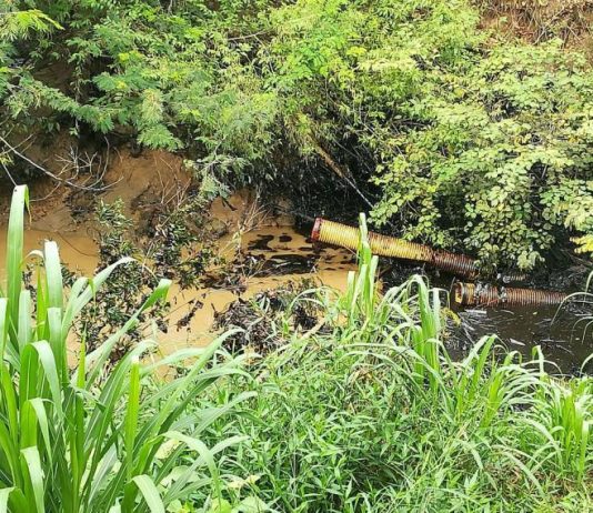 Procuraduría solicita tramitar incidente de desacato contra Nikoil Energy por afectaciones al medio ambiente en San Luis de Gaceno