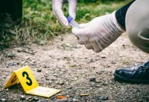 Investigaciones y recompensas