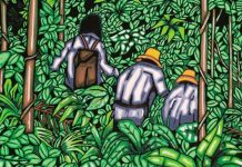 Literatura y economía verde