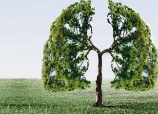 Corpoboyacá te enseña a mejorar la calidad del aire