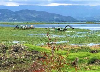 Procuraduría urgió por medidas que permitan la recuperación y conservación del complejo lagunar de Fúquene y Cucunubá