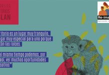 Desigualdades territoriales