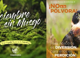 “Diciembre en paz con la naturaleza”