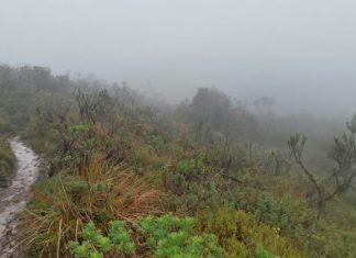 Gobierno de Boyacá adquiere seis predios de interés hídrico