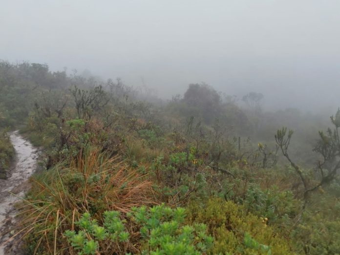 WhatsApp Image 2021-12-15 at 1.06.34 AM