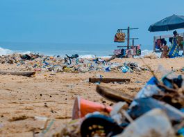 La era del antropoceno y los conflictos entre desarrollo, sostenibilidad y equidad