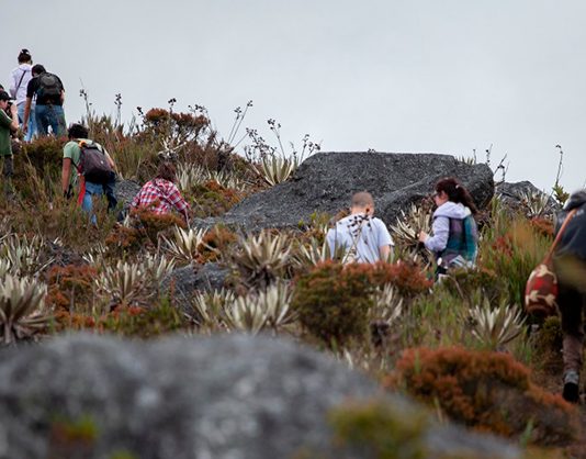 ‘El poder’ del Director de Corpoboyacá