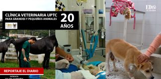 Clínica Veterinaria de la UPTC, cumple 20 años al servicio de los boyacenses