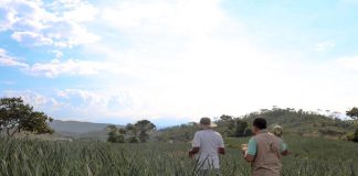 Unidad de Restitución de Tierras se convierte en gestor catastral, tras ser habilitada por el IGAC