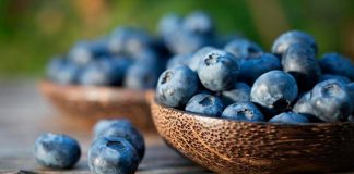 En Paipa, Encuentro Nacional de Productores de Frutas de Exportación