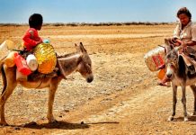 Cuidar la tierra, defender la vida