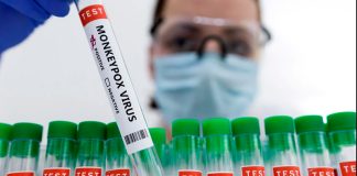 ¿Conoce qué es la viruela símica o del mono?