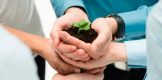 Beneficios tributarios para organizaciones interesadas en proteger el ambiente