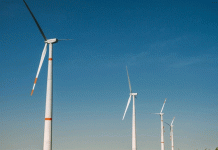 Las carboeléctricas en Colombia y la transición energética