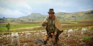 Cerca de 110 proyectos se presentaron al Fondo Finca