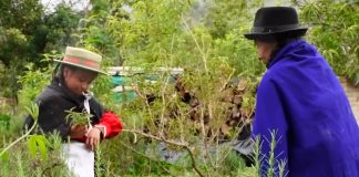 Las historias y pensamientos de los pueblos indígenas vuelven en El Buen Vivir IV