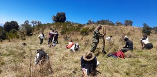 Comunidad y soldados plantan especies nativas en zonas de impacto ambiental en Boyacá