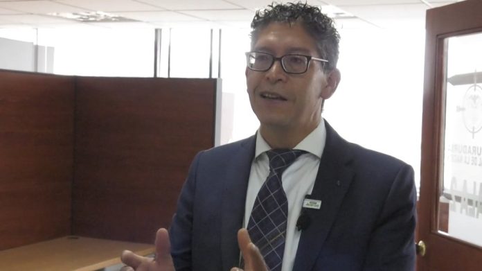 barragan a contra luz un prefesional