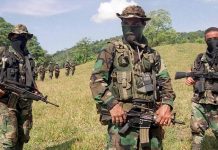 Negar las causas del orden criminal para crear falsas percepciones