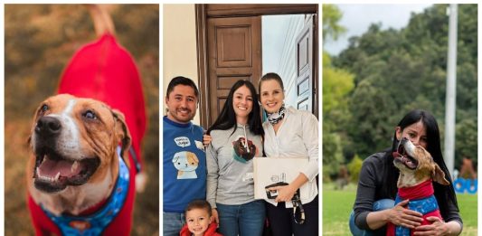 «Esta Ley va a salir adelante, que haya pasado el primer debate es un gran logro»: Andrea Nieto