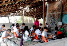 El maestro, la maestra, inteligencia para la paz