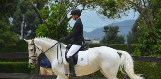 Binomio equino del Grupo Silva Plazas del Ejército Nacional representa a Colombia en eventos internacionales