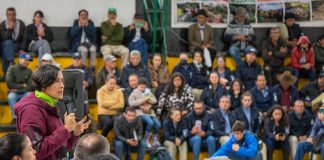 13 millones de dólares para la conservación de los páramos en Colombia