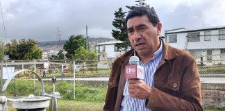 Investigación de docente de la UPTC clave para cultivos de papa