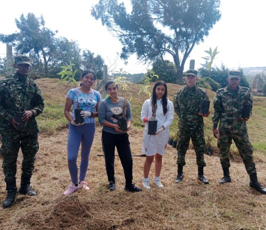 1.000 plantas fueron sembradas en jornada ambiental con apoyo de soldados en Tunja